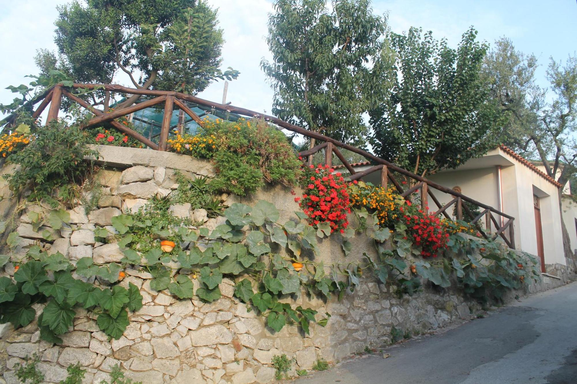 Casa Vacanze Chery Sorrento Buitenkant foto
